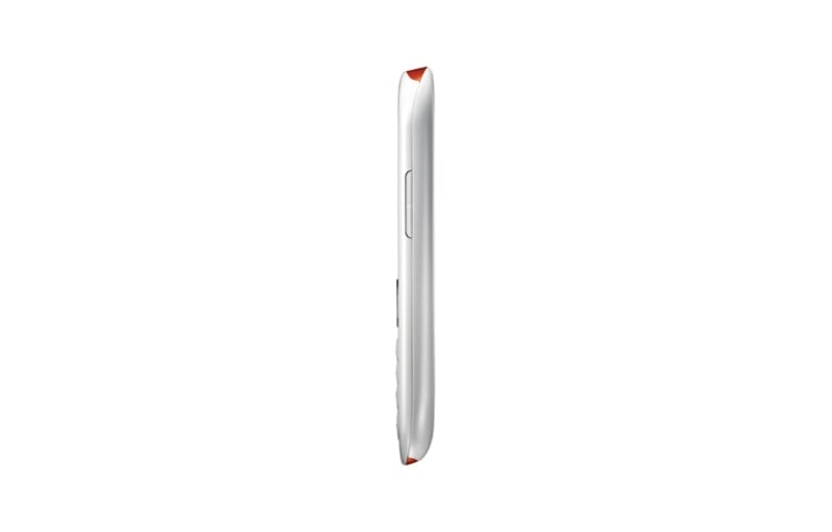 LG 2MP Camera, Dedicated SNS Client, Wi-Fi Capable, MSN Messenger, Wireless FM Radio, Push e-mail & Home Screen Toolbar, C305