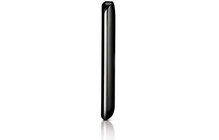 LG Optimus L1 II, LGE420