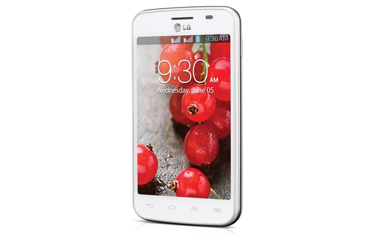LG , LGE445