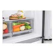 LG 4 Door Refrigerator, Inverter Linear Compressor, 530 Liter, 19 Cubic Feet, GC-B22FTLVB