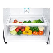 LG 475 Liter, 17  Cubic Feet, Digital, Hygiene Fresh Filter, Door Cooling, GN-H622HLHL