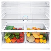 LG 592L LG Top Freezer LinearCooling™ㅣ Dispenser, GR-F822HLHU