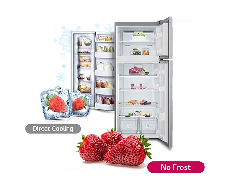 Expressing the function of a frost-free refrigerator with strawberries