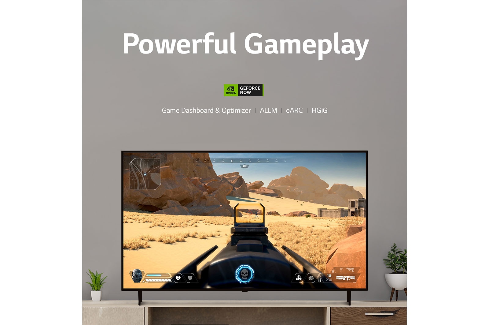 Gameplay