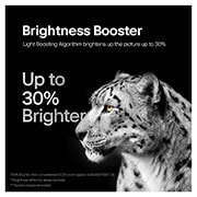 Brightness Booster