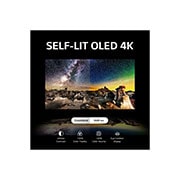 Self Lit OLED 4K