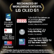 LG OLED TV 65 Inch G1 Series, Gallery Design 4K Cinema HDR WebOS Smart AI ThinQ Pixel Dimming, OLED65G1PVA