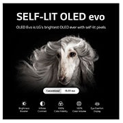 SElf Lit OLED evo