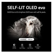 Self Lit OLED evo