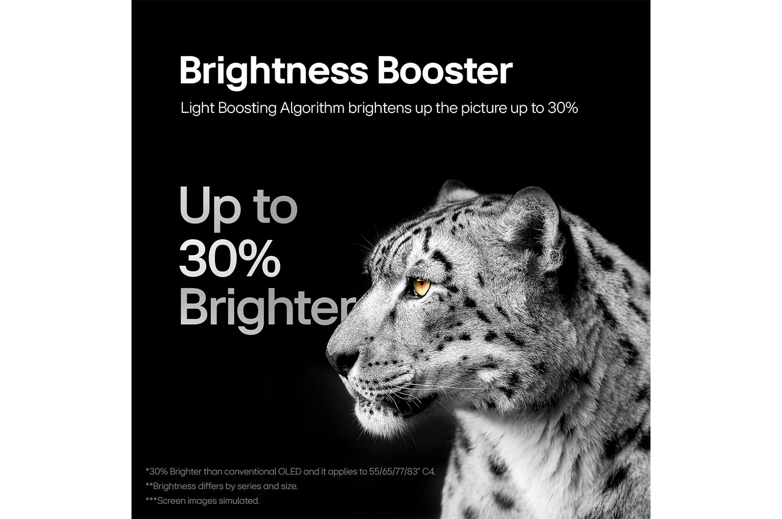 Brightness Booster