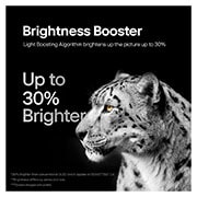Brightness Booster