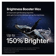 Brightness Booster Max