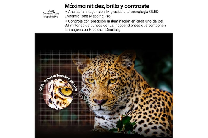 USP : Control inteligente: Mando Magic Remote