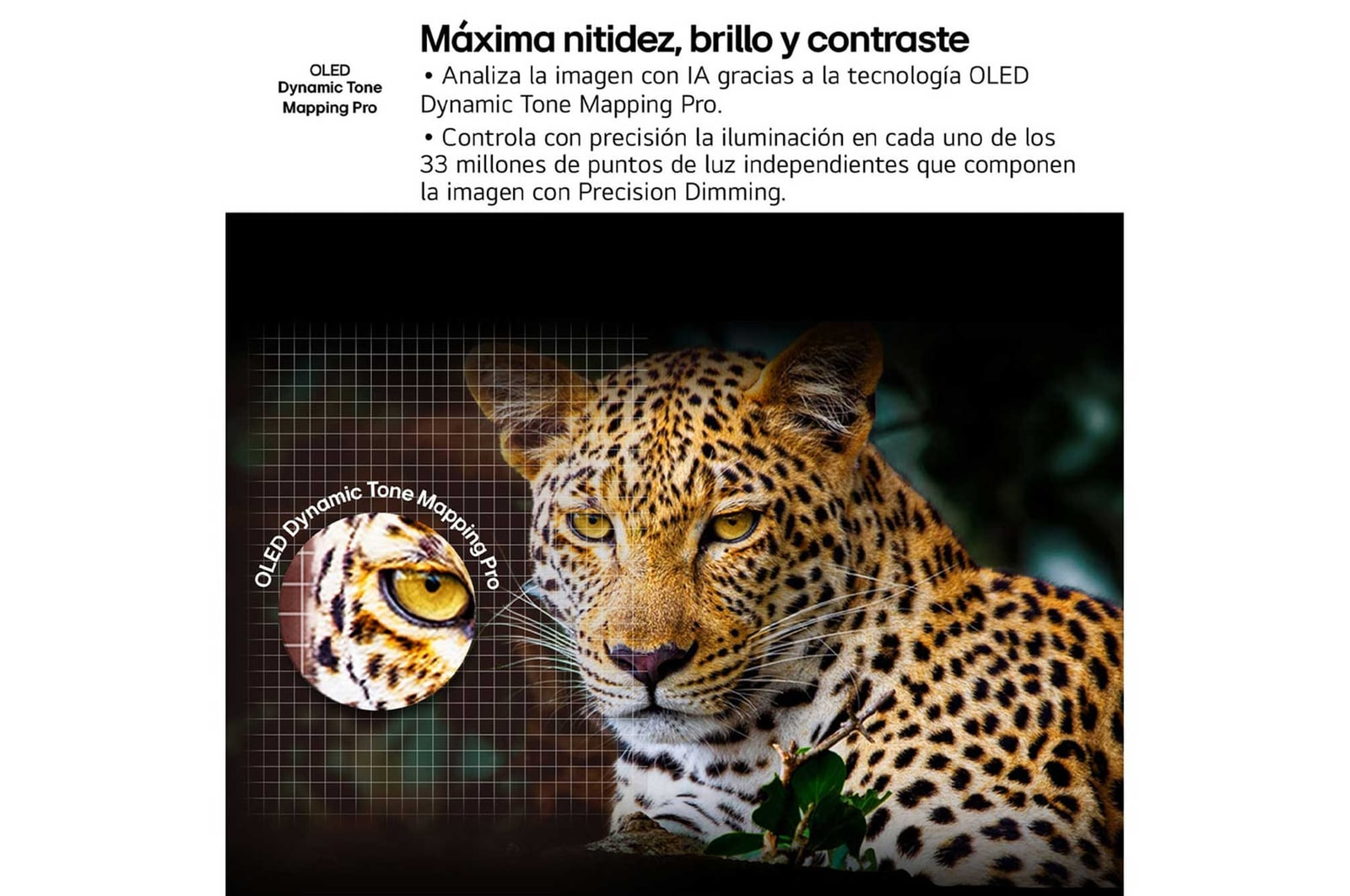 USP : LG webOS, el Smart TV más inteligente, que evoluciona a mejor cada año. Preparado para los próximos apagones TDT (1)