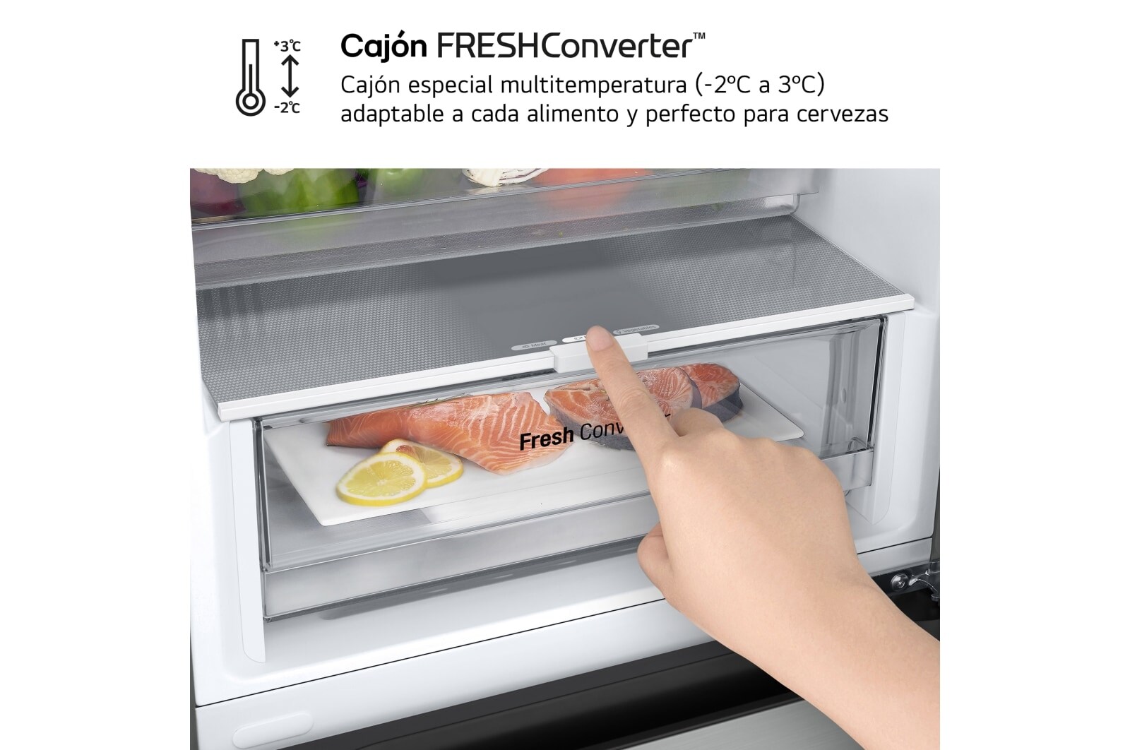 LG Outlet Frigorífico Combi Door Cooling+, 1,86m, Clasificación E, capacidad de 374l, inox antihuellas. Serie 300, GBV3100EPY.OUTLET