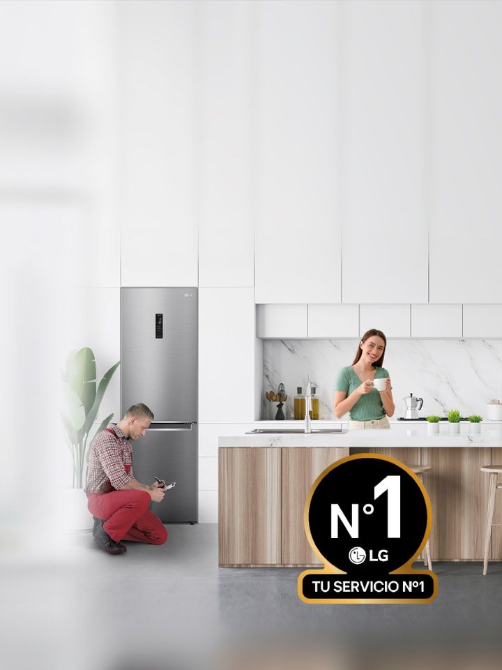 servicios LG