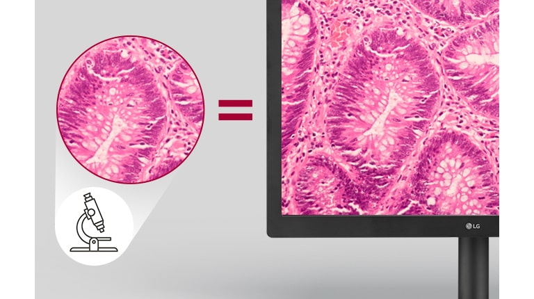 Como mirar por un microscopio
