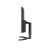 LG 38WN75C - Monitor Ultrapanoramico 21:9 LG UltraWide (Panel IPS: 3840x1600, 300cd/m², 1000:1, sRGB>99%, curvo); diag. 95,3cm; entr.: HDMIx2, DPx1, Thunderbolt™ 3; Ajust. en altura e inclinación., 38WN75C-B