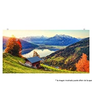 Vista frontal de Serie GSCD GSCD069-GN