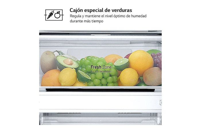 LG Frigorífico Combi  2m, Clasificación D, capacidad de 358l, inox antihuellas. Serie 200, GBM22HSADH