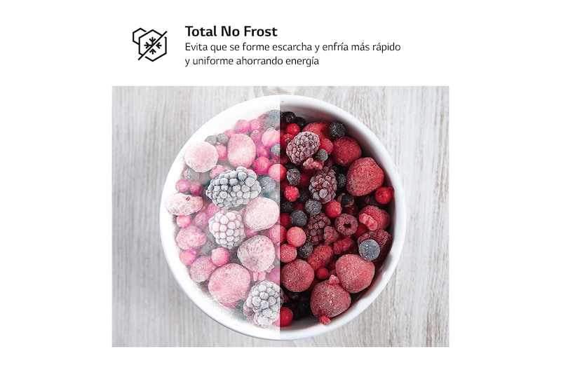 LG Frigorífico Combi  2m, Clasificación D, capacidad de 358l, inox antihuellas. Serie 200, GBM22HSADH