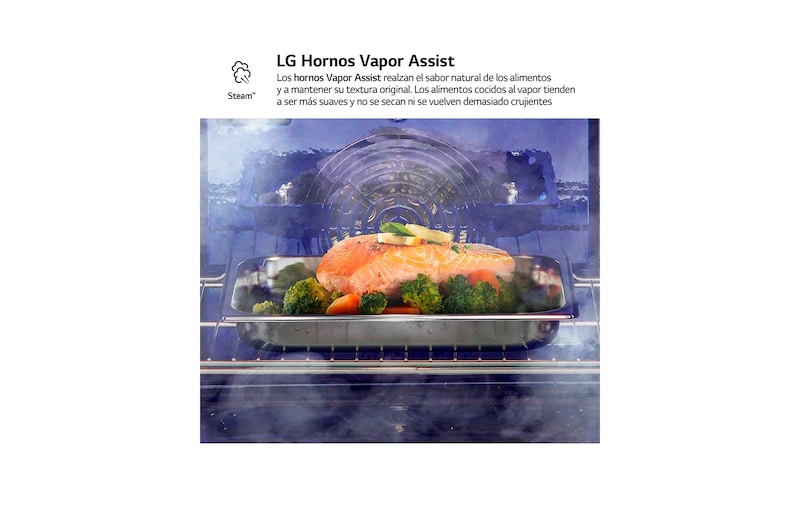 LG Horno LG Instaview 76 litros A++ Cocina Vapor y Freidora de Aire, WSED7665B