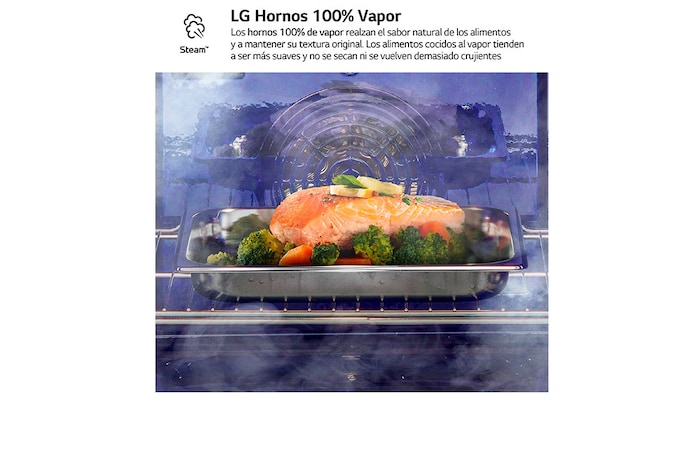 LG Horno LG Instaview 76 litros A++  Freidora de Aire, WSED7667M