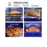 LG Horno LG Instaview 76 litros A++  Freidora de Aire, WSED7667M
