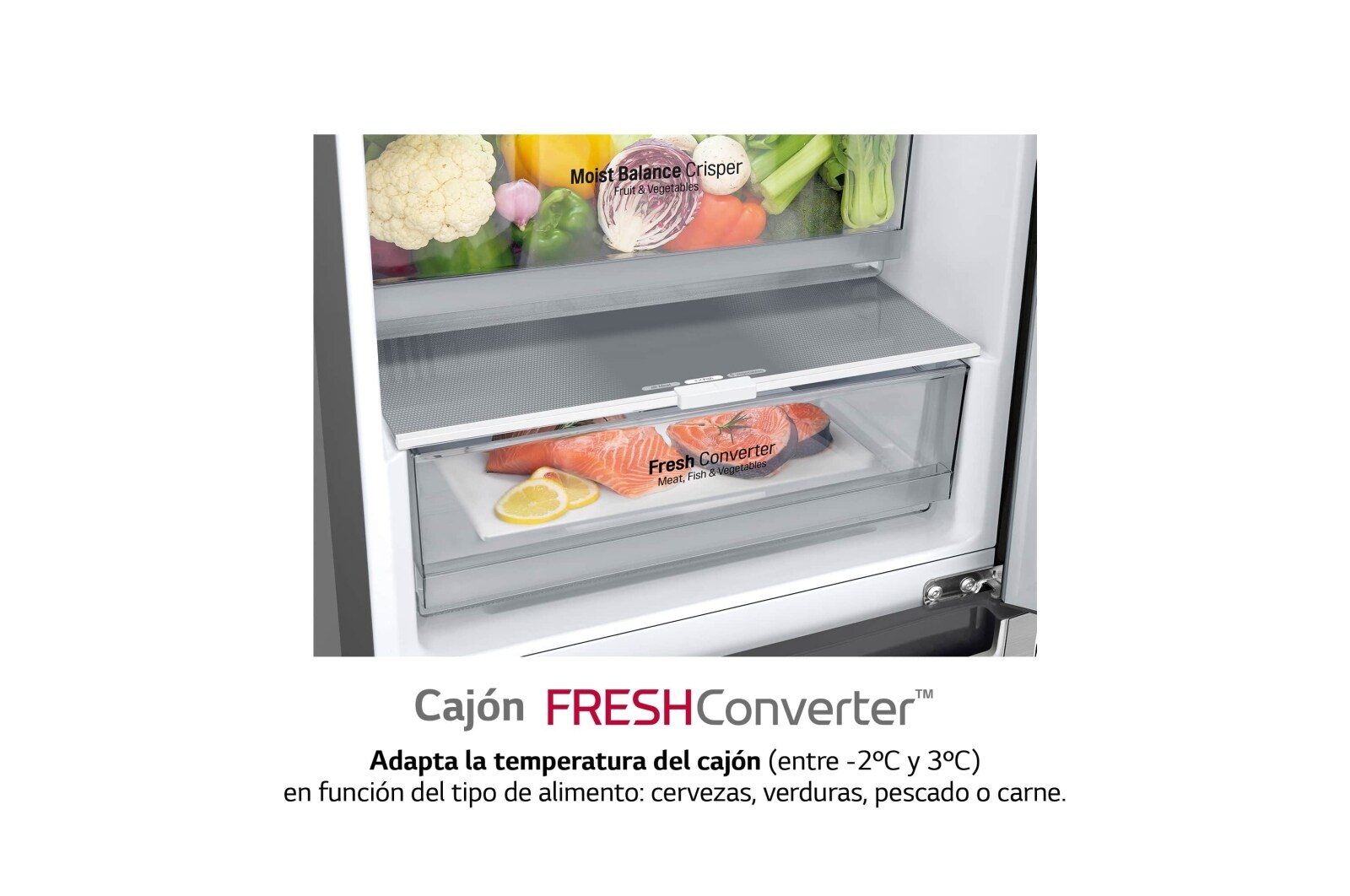 LG Frigorífico Combi  1,86m, Clasificación C, capacidad de 374l, Inox antihuellas, serie 600, GBB61PZGCN1