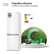 LG Frigorífico Combi 1,86m, Clasificación C, capacidad de 374l, Blanco, serie 600, GBB61SWGCN1