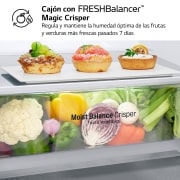 LG Frigorífico Combi 1,86m, Clasificación C, capacidad de 374l, Blanco, serie 600, GBB61SWGCN1
