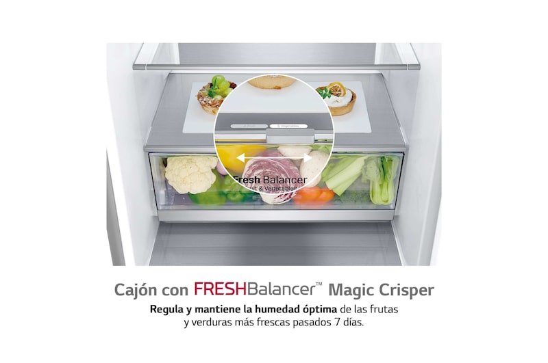 LG Frigorífico Combi, 2m, Clasificación C, capacidad de 419l, Acero inoxidable texturizado antihuellas, serie Centum, GBB92MBACP