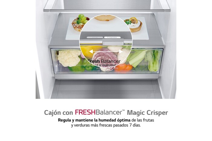 LG Frigorífico Combi 2m, Clasificación un 10% más eficiente que A, 419l, Acero Premium Antihuellas, serie Centum, GBB92MCB1P