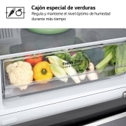 LG Outlet Frigorífico Combi, 1,86m, Clasificación E, capacidad de 374l, Inox Grafito Antihuellas, serie 3, GBP31DSLZN.OUTLET