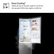 LG Outlet Frigorífico Combi LG GBP32DSLZN, 2,03m, A++, capacidad de 419l, Inox Grafito Antihuellas, serie 3, GBP32DSLZN.OUTLET