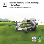 LG Outlet Frigorífico Combi LG GBP32DSLZN, 2,03m, A++, capacidad de 419l, Inox Grafito Antihuellas, serie 3, GBP32DSLZN.OUTLET