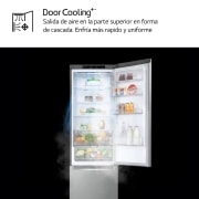 LG Frigorífico Combi Door Cooling+, 2m, Clasificación B, capacidad de 419l, Inox Antihuellas, Serie P500 , GBP52PYNBN