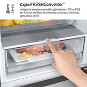 LG Frigorífico Combi Door Cooling+, 2,03m, Clasificación C, capacidad de 419l, inox antihuellas. Serie P500 , GBP52PZNCN1