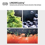 LG Frigorífico Combi Door Cooling+, 2,03m, Clasificación C, capacidad de 419l, inox antihuellas. Serie P500 , GBP52PZNCN1
