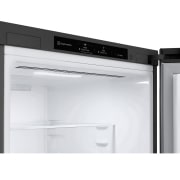 LG Outlet Frigorífico Combi 1,86m, Clasificación D, capacidad de 374l, Inox grafito , serie P-600, GBP61DSPGN.OUTLET