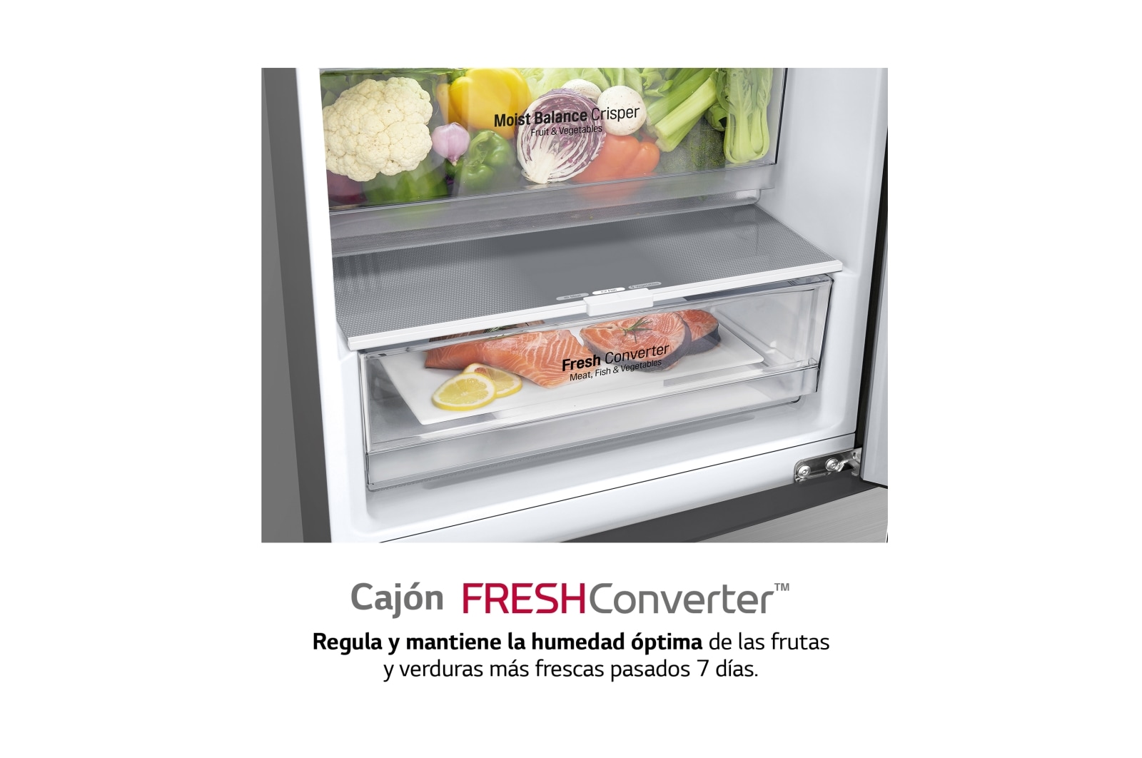 LG Frigorífico Combi 2m, Clasificación C, capacidad de 419l, Inox grafito , serie P-600, GBP62DSNCC1