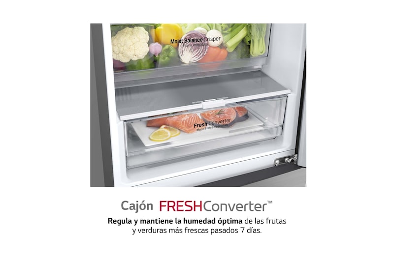 LG Frigorífico Combi 2m, Clasificación C, capacidad de 419l, Inox grafito , serie P-600, GBP62DSNCC