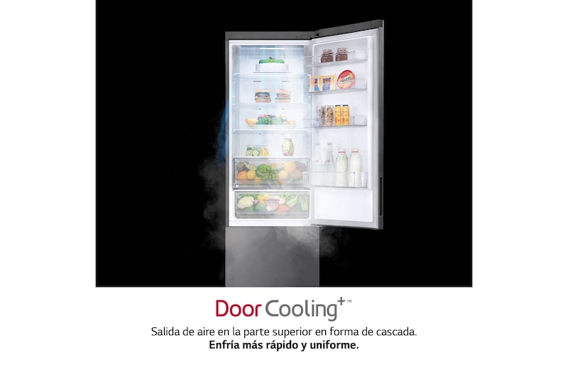 LG Frigorífico Combi  2m, Clasificación C, capacidad de 419l, Inox grafito antihuellas, serie P-600, GBP62DSXCC