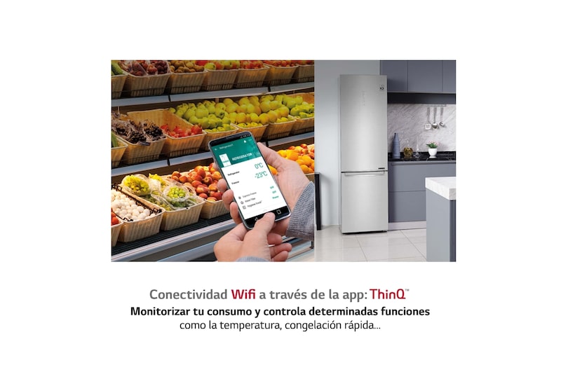 LG Frigorífico Combi  2m, Clasificación C, capacidad de 419l, Inox grafito antihuellas, serie P-600, GBP62DSXCC