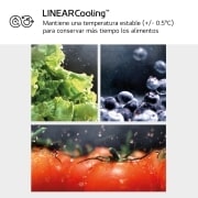 LG Frigorífico Combi Door Cooling+,  1,86m, Clasificación C, capacidad de 374l, inox antihuellas. Serie 300, GBV3100CPY vista frontal ladeada, GBV3100CPY