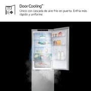 LG Frigorífico Combi Door Cooling+,  1,86m, Clasificación C, capacidad de 374l, inox antihuellas. Serie 300, GBV3100CPY vista frontal ladeada, GBV3100CPY