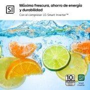 LG Frigorífico Combi Door Cooling+,  1,86m, Clasificación C, capacidad de 374l, inox antihuellas. Serie 300, GBV3100CPY vista frontal ladeada, GBV3100CPY