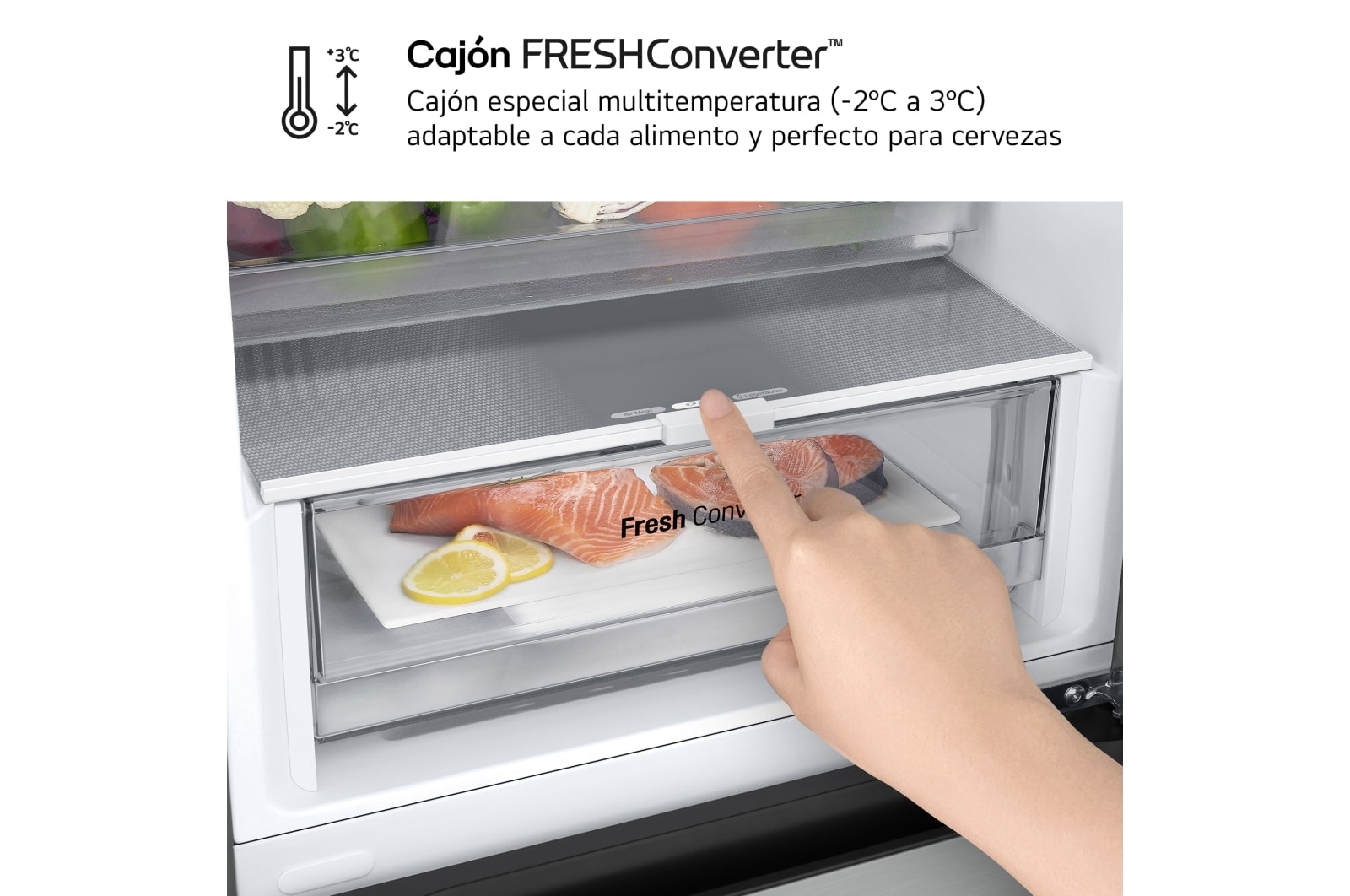 LG Frigorífico Combi Door Cooling+,  1,86m, Clasificación C, capacidad de 374l, inox antihuellas. Serie 300, GBV3100CPY vista frontal ladeada, GBV3100CPY
