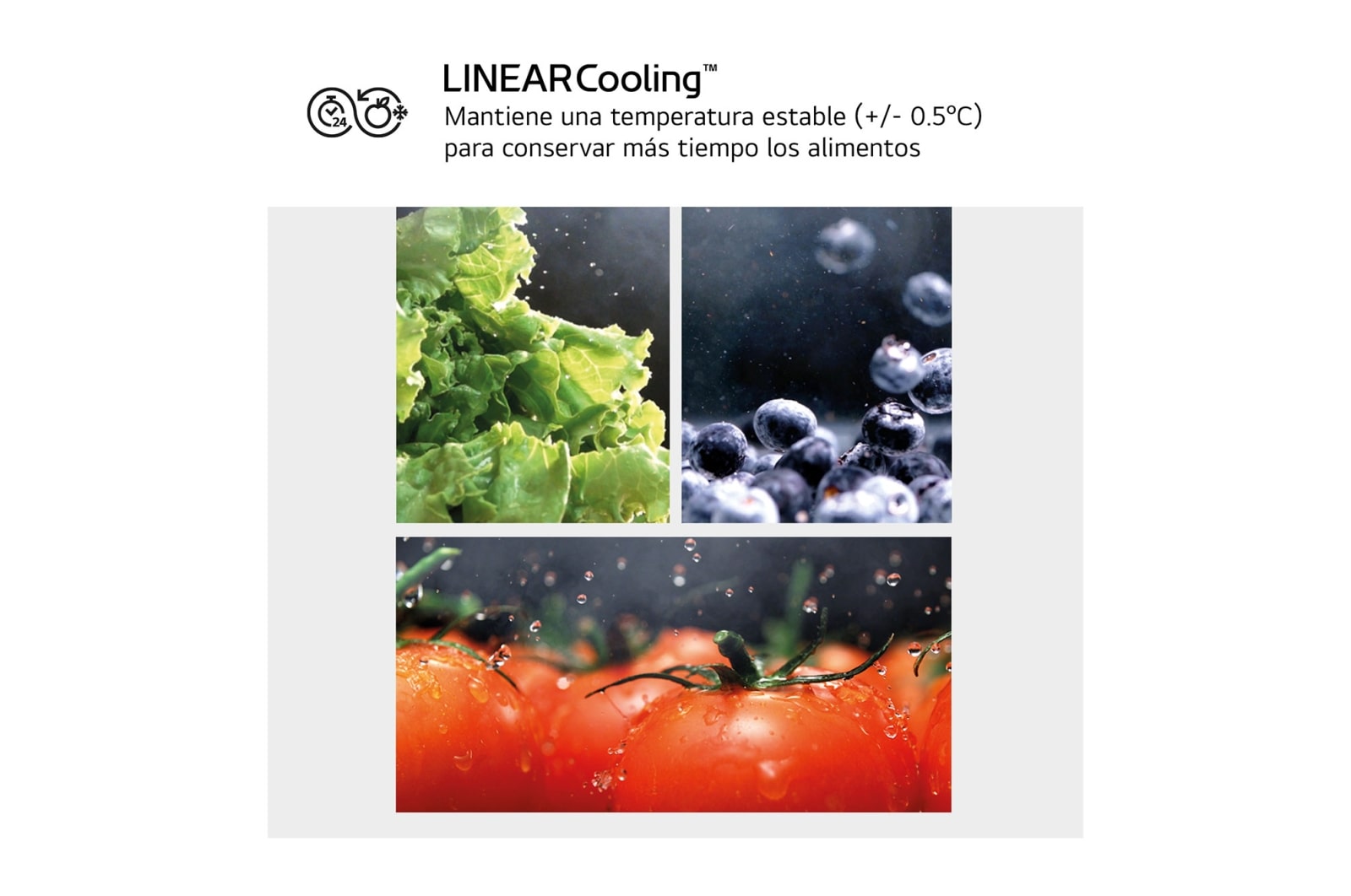 LG Frigorífico Combi Door Cooling+, 2,03m, Clasificación D, capacidad de 419l, inox antihuellas. Serie 300 , GBV3200DPY