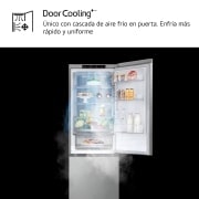 LG SERIE 500  Door Cooling+, 1,86  m, Clasificación D, capacidad de 374 l,  Inox antihuellas, GBV5140DPY vista frontal ladeada, GBV5140DPY